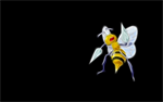Fond d'cran gratuit de MANGA & ANIMATIONS - Pokemon numro 66111